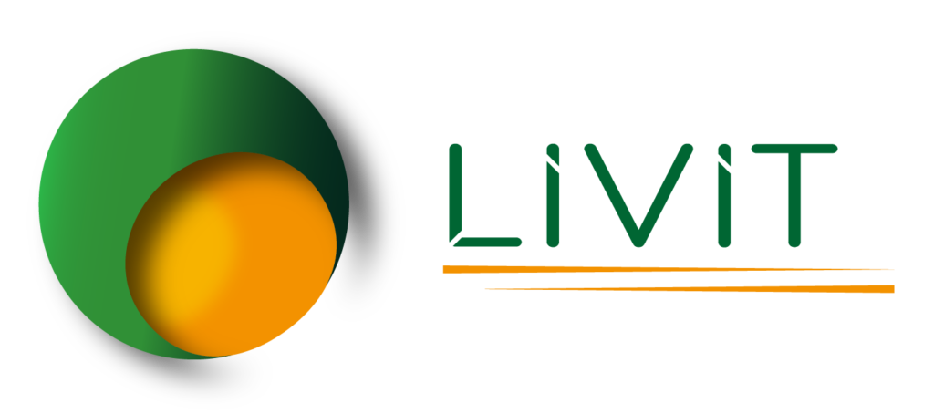 LiV-IT Webdesign Logo Horizontaal