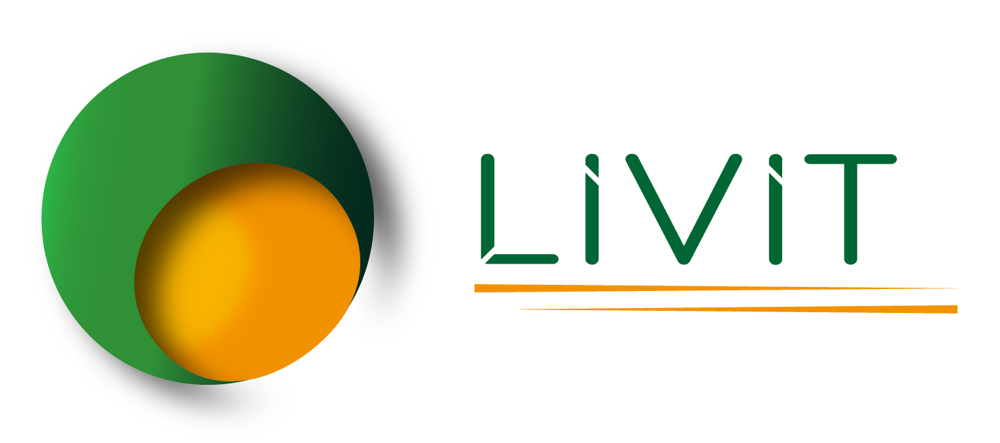 LiV-IT Webdesign Logo Horizontaal